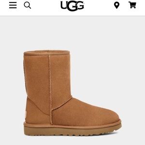 UGG- women’s classic short (Chestnut)